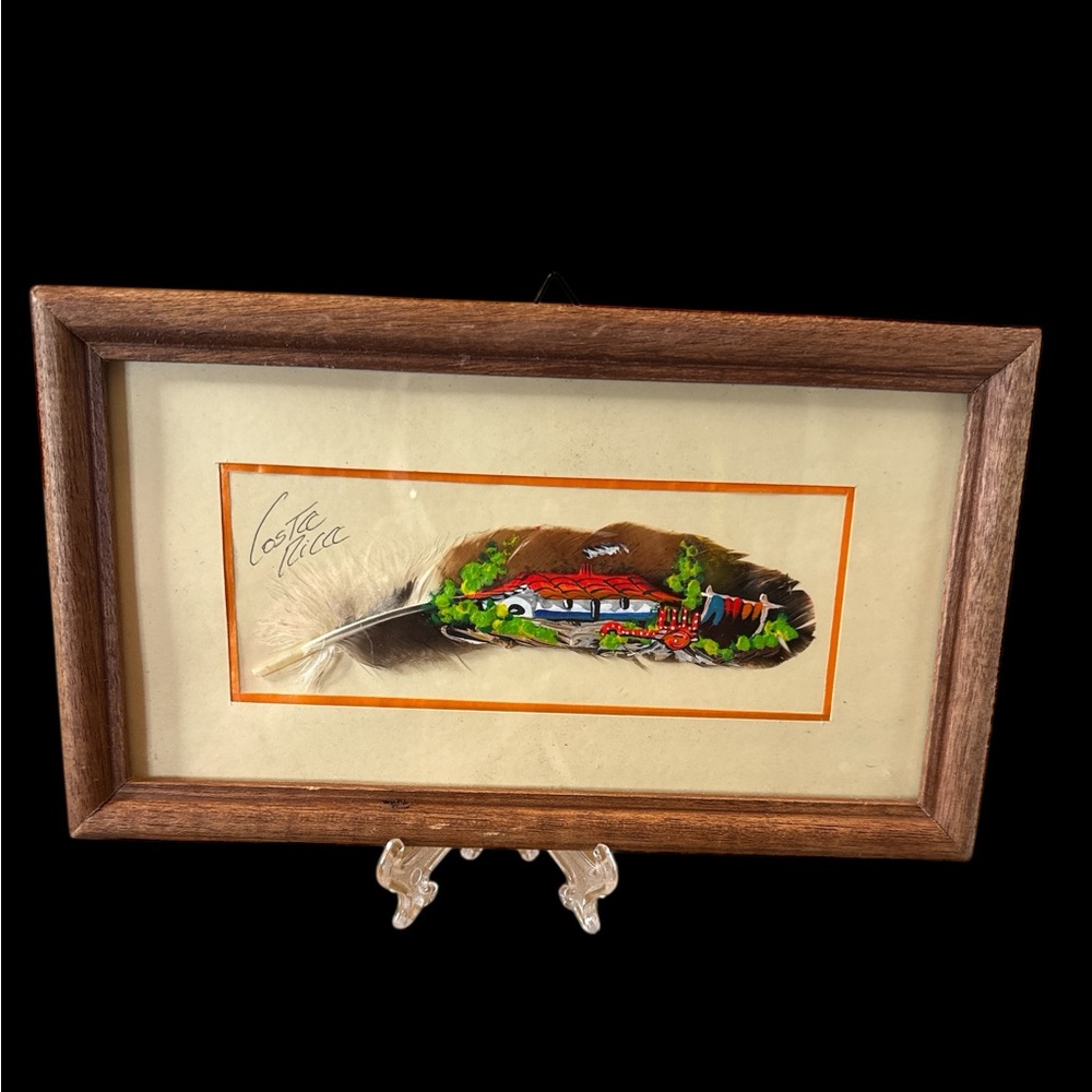 Framed Costa Rica Feather Art-Handmade in Costa Rica (4-M)